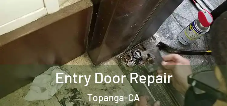  Entry Door Repair Topanga-CA