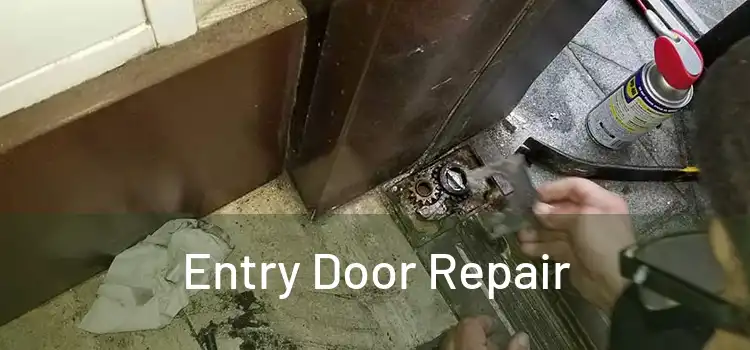 Entry Door Repair