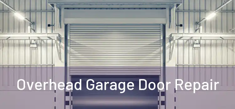 Overhead Garage Door Repair